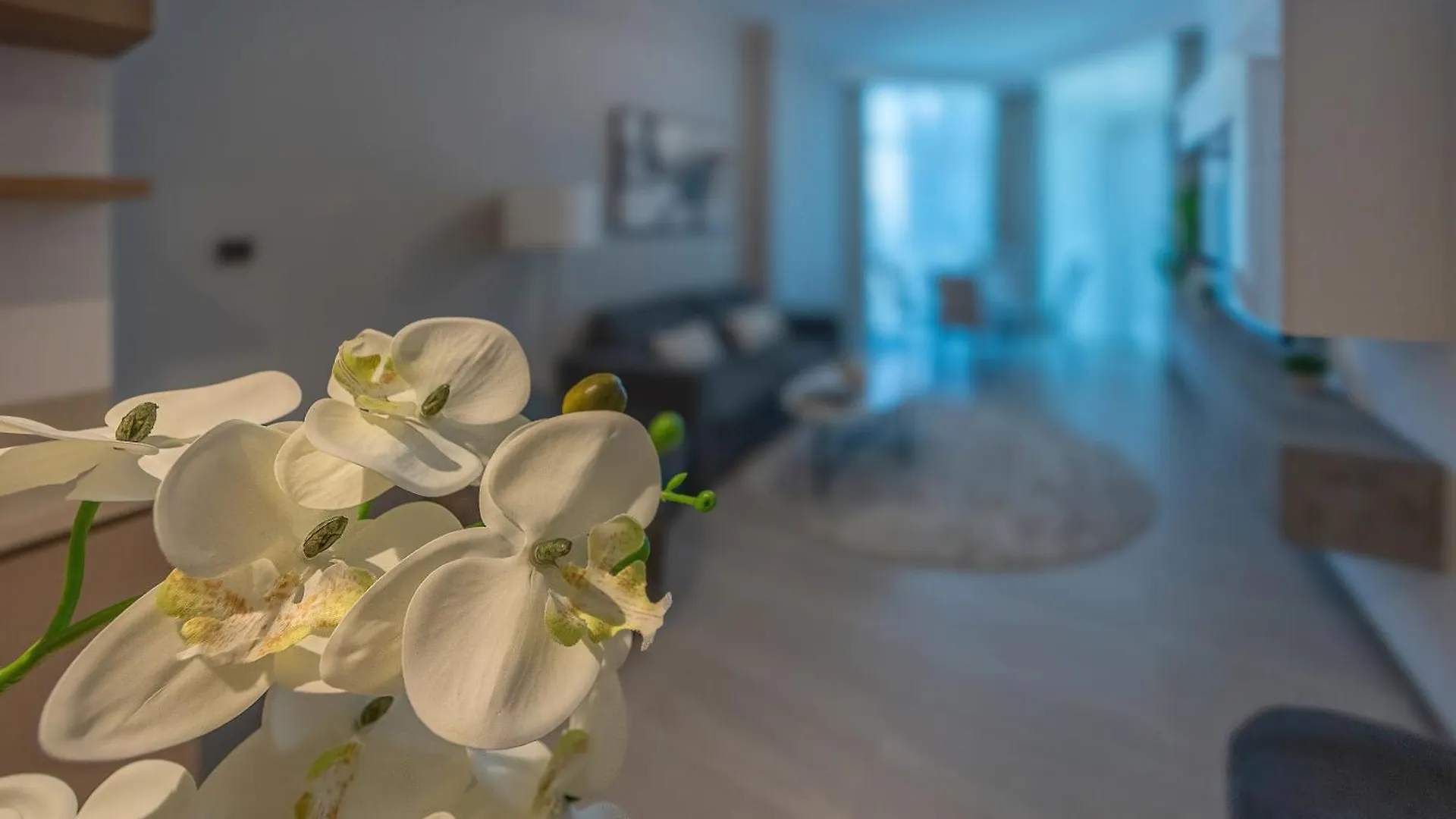 New 1 Bd Apartment In Business Bay Missoni Dubai
